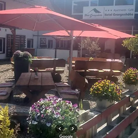 Hotel Georgenhoehe Wildemann